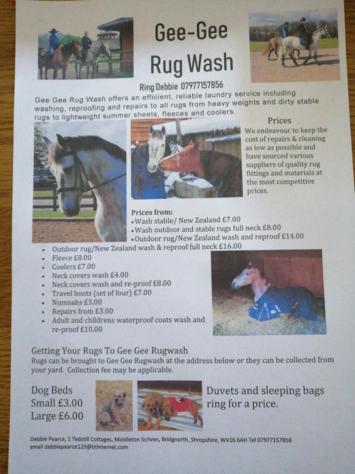 Gee Gee Rug Wash